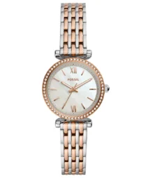 Fossil FES4649 Kadın Kol Saati